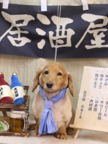 20240622レオンくん